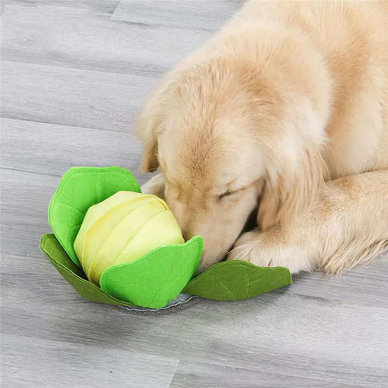 Snuffle Mat for Dogs — Nose Work & Mental Enrichment