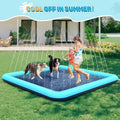 Covoraș cu Stropitoare (Splash Pad) pentru Câini
