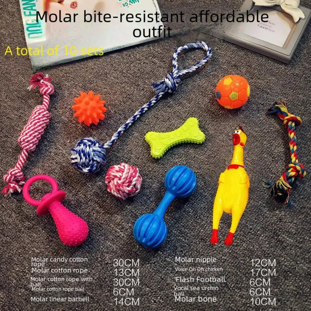 Plush Squeaky Toy Set for Dogs — Soft Interactive Play & Comfort