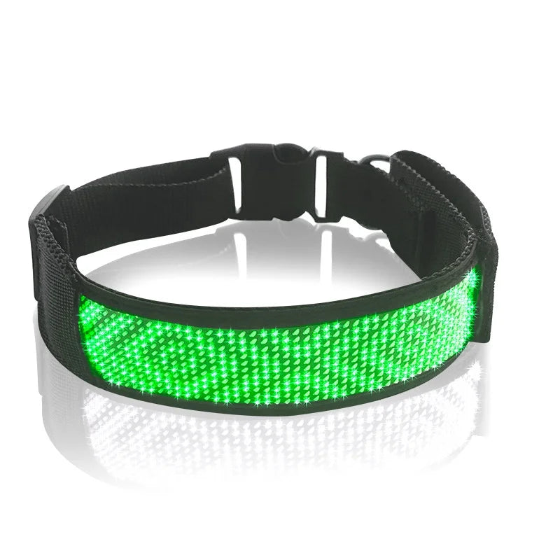 Zgardă LED Reîncărcabilă USB pentru Câini, Vizibilitate Nocturnă