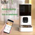 Dozator Automat de Hrană Smart cu Temporizator