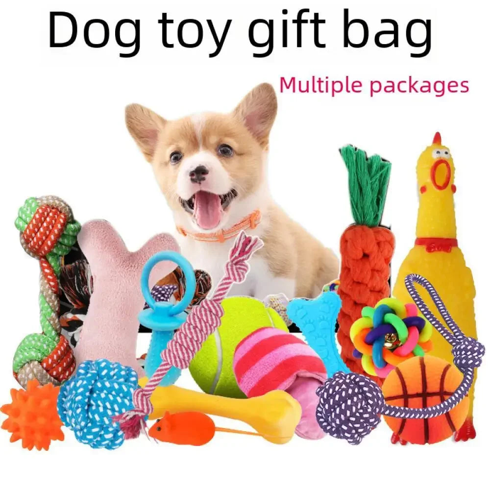 Plush Squeaky Toy Set for Dogs — Soft Interactive Play & Comfort