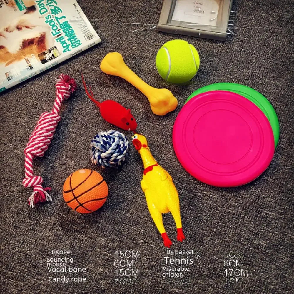 Plush Squeaky Toy Set for Dogs — Soft Interactive Play & Comfort