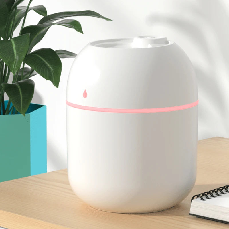 Umidificator Aer Mini USB