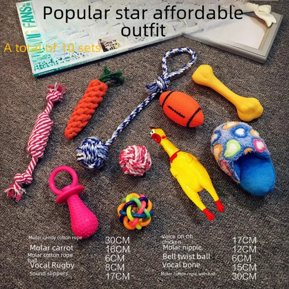 Plush Squeaky Toy Set for Dogs — Soft Interactive Play & Comfort