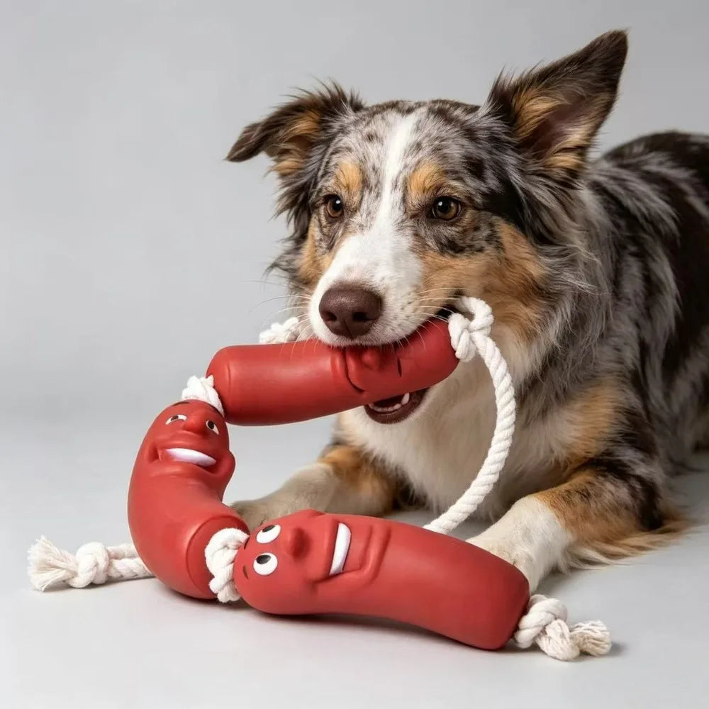 2-in-1 Tug & Foraging Rope Toy for Dogs — Dental Chew & Treat Hider