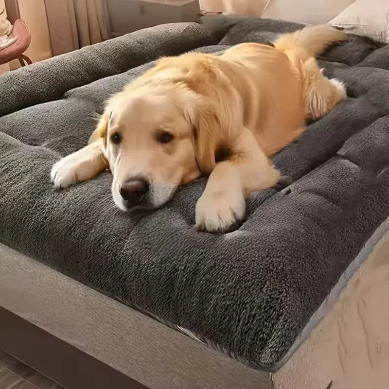 Cozy Plush Pet Cushion Bed — Soft Washable Mat for Dogs & Cats
