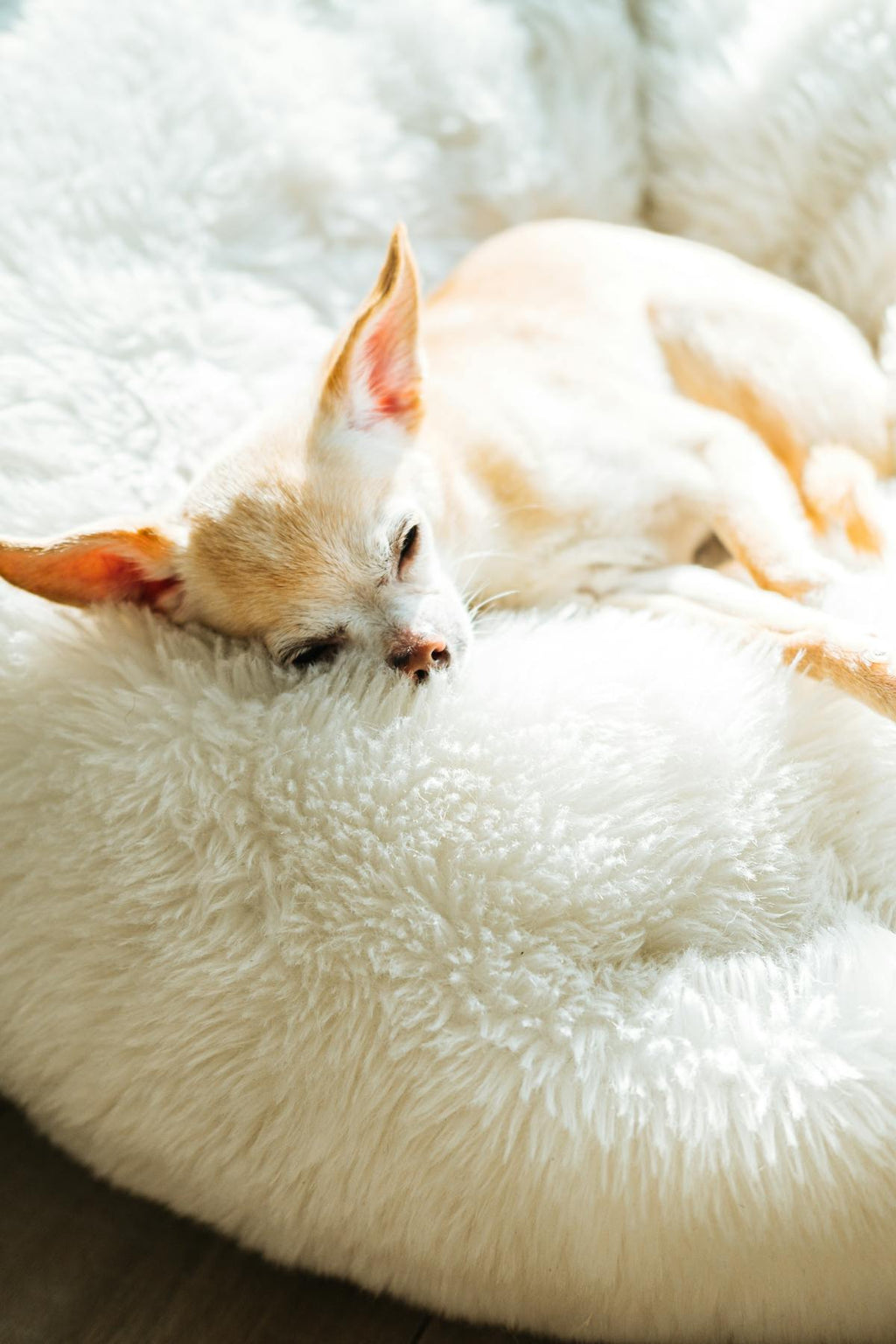 Cozy Plush Pet Cushion Bed — Soft Washable Mat for Dogs & Cats