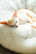Cozy Plush Pet Cushion Bed — Soft Washable Mat for Dogs & Cats