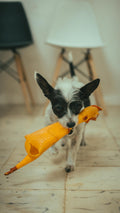 Squeaky Latex Dog Toy — Fun Fetch & Chew for Small & Medium Dogs